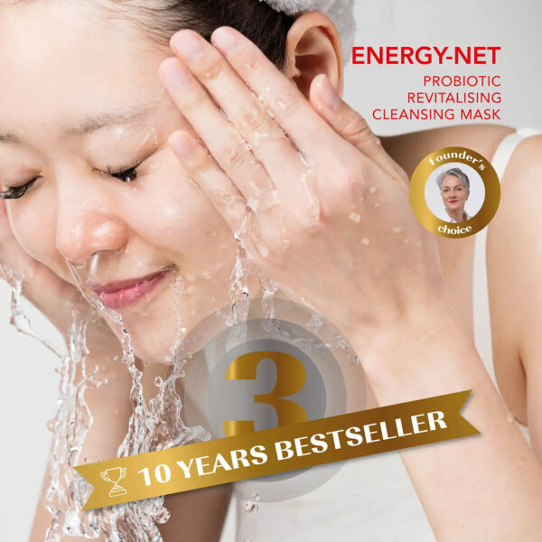 Energy-Net - Image 3