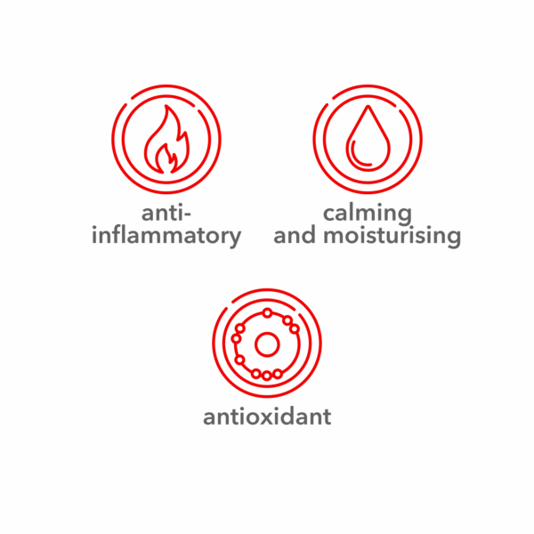 Soin-Apax - Image 3